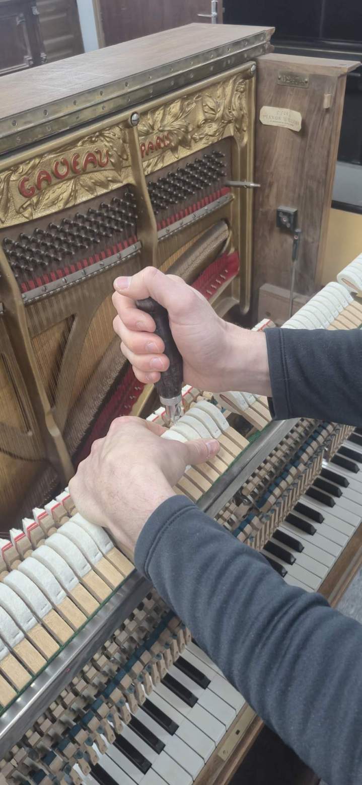 Réglage timbre piano Limours